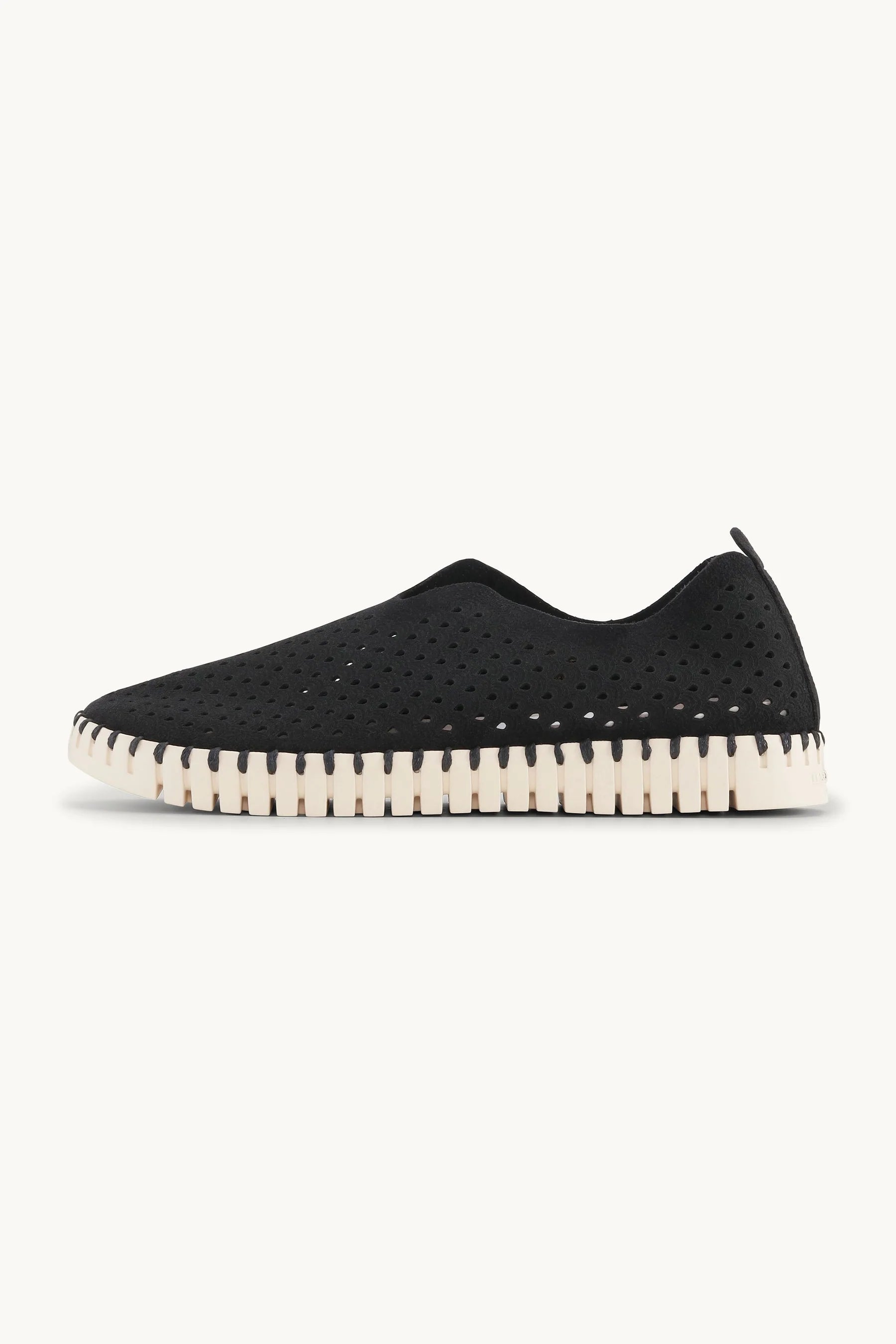 Tulip Flats Shoes